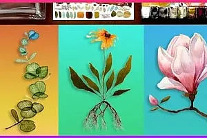 【Udemy中英字幕】Watercolor Painting Flowers by Award Winning Artist