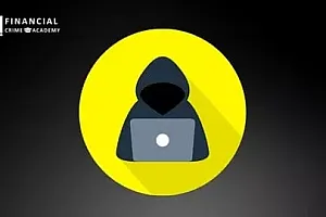 【Udemy中英字幕】Fraud Risk Management, Assessment & Fraud Analysis Bootcamp