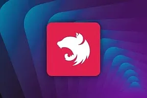 【Udemy中英字幕】NestJS Masterclass – NodeJS Framework Backend Development