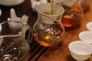 【Udemy中英字幕】Tea Fundamentals I