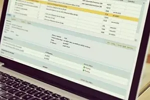 【Udemy中英字幕】SAP SD Training – in Plain English