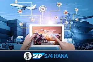 【Udemy中英字幕】SAP : Supply Chain Logistics & Transportation in S/4 HANA