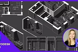 【Udemy中英字幕】Create stunning drawing using only REVIT-without Photoshop!