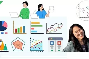 【Udemy中英字幕】The Secrets to Landing a Data Analyst Job without Experience