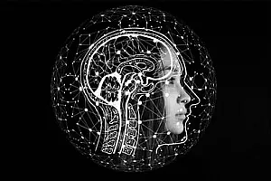 【Udemy中英字幕】Understanding Neurofeedback – the Fundamentals