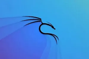 【Udemy中英字幕】Kali Linux Certification Course: Hacking with Kali Linux