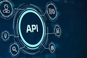 【Udemy中英字幕】Ethical Hacking of RESTful and GraphQL APIs Training Course