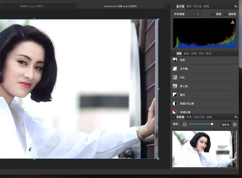 Affinity Photo For Mac 2022 v1.10.5 中文破解版 (专业级修图软件)