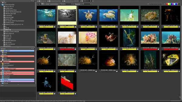 Photo Mechanic 6.0.6245 破解版