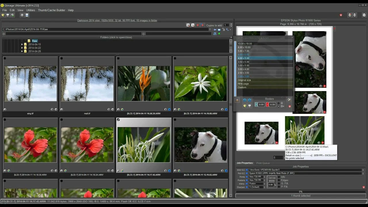 专业图片打印软件 Qimage Ultimate 2022.102 破解版